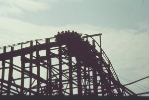 Read more about the article The Lake’s Famous Coaster